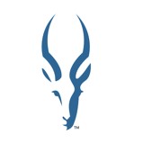 Apache Impala logo