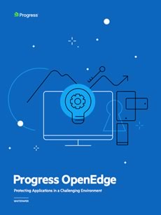 OpenEdge Protecting Applpications Whitepaper