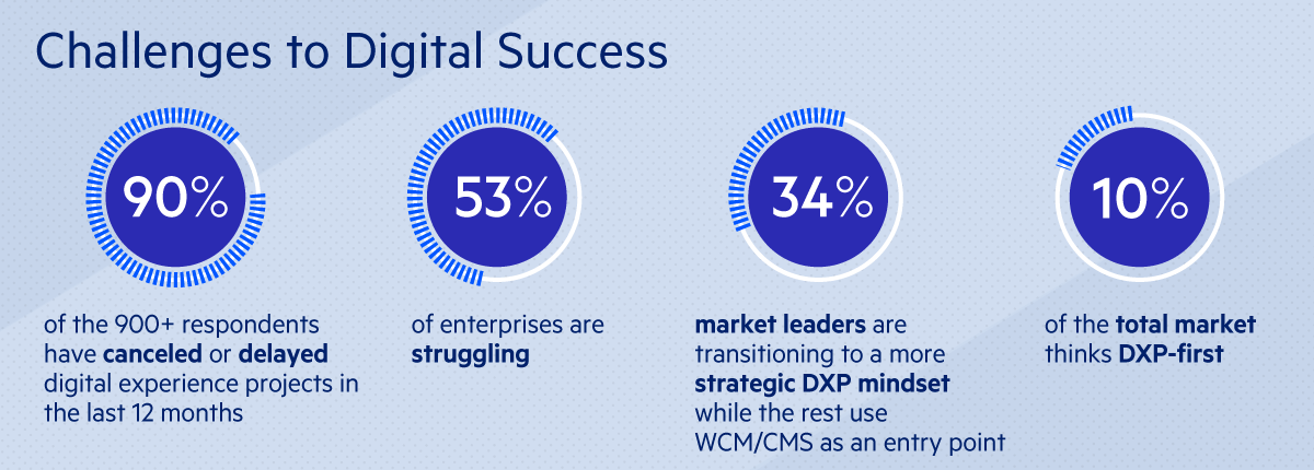 Challenges to Digital Success