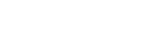 State Electric Logo White