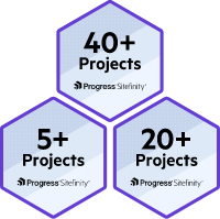 Project Expertise Badge